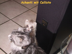 Ashanti mit Callisto